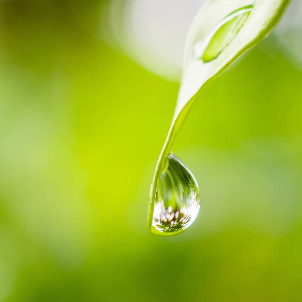 individuallprophylaxe5